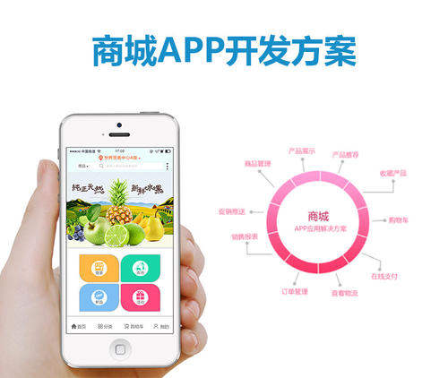 衡水app定制 公众号开发制作就找河北网加思维公司